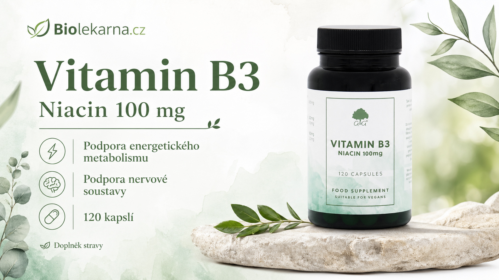 vit-b3-niacin