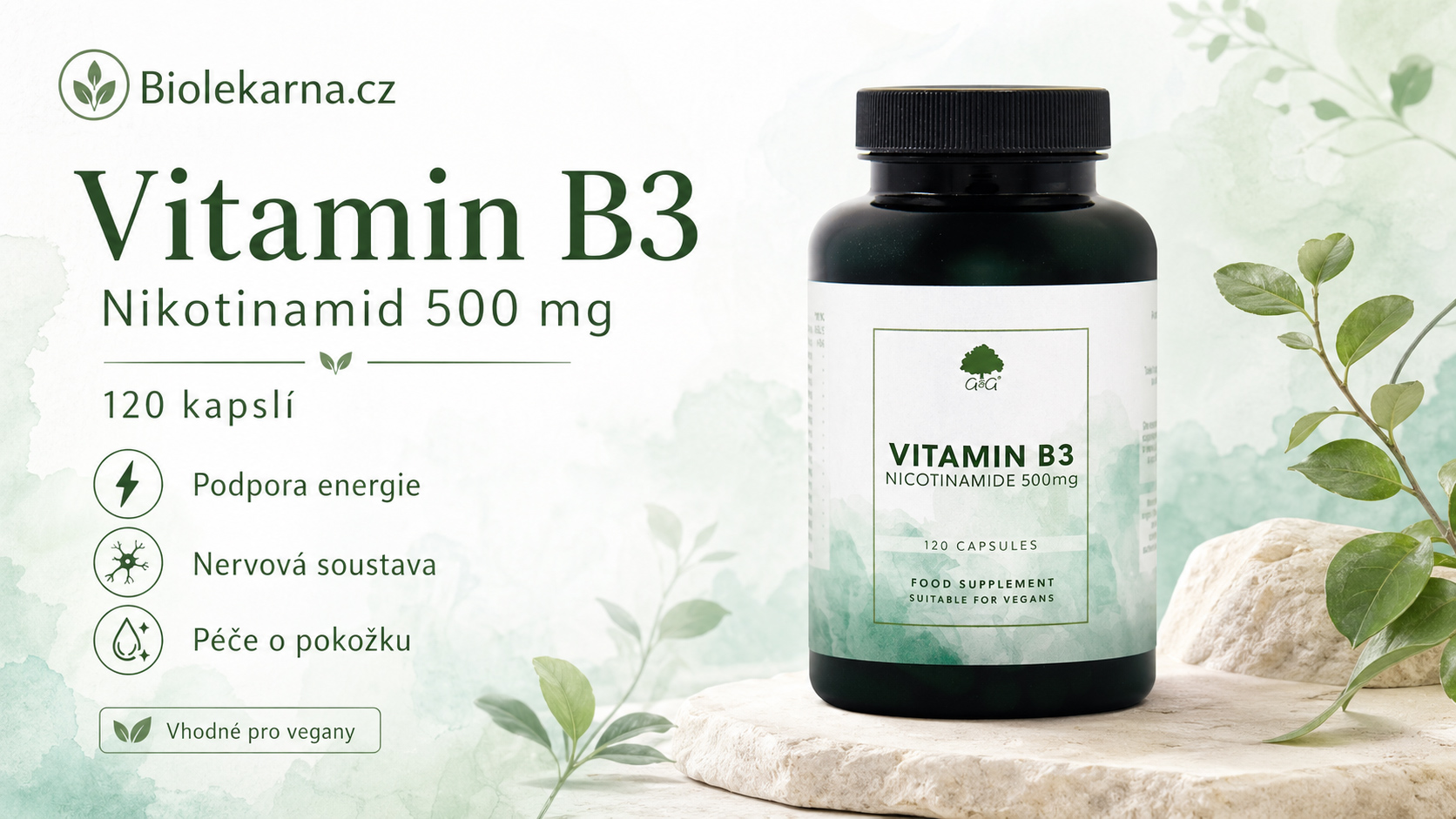 vit-b3-nico