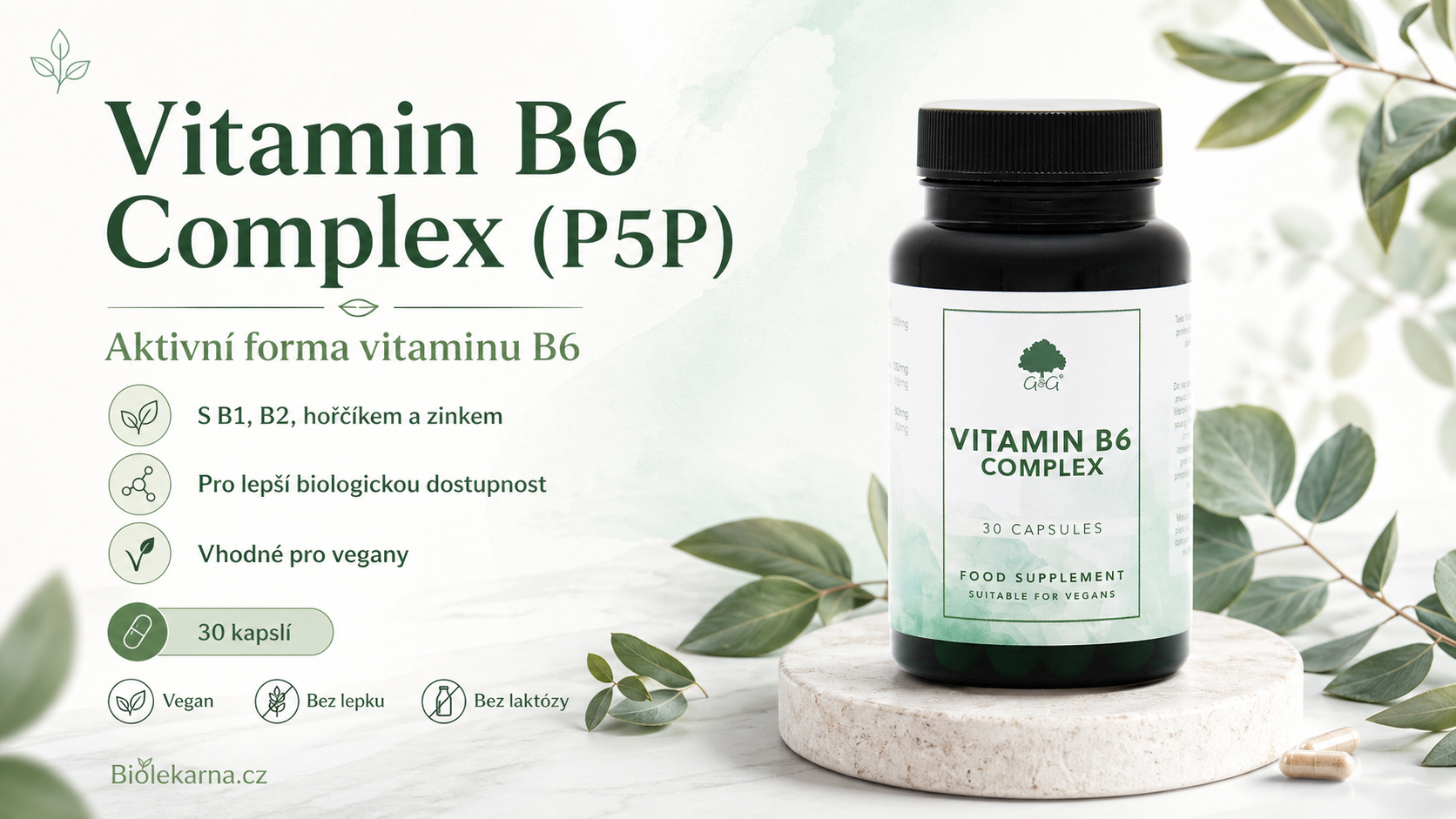 vit-b6