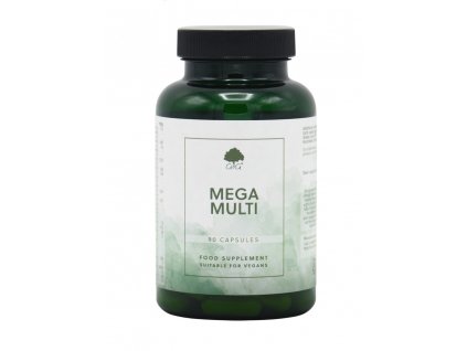 mega multi supplement MAIN