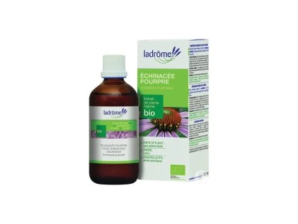 echinacea100ml