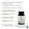 vitamin b3 INFO2