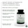 vitamin b3 INFO2