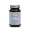 MT3019 V5 Mattisson Vegan Collagen Alternative 60x173 v5