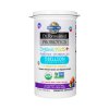 Garden of Life Dr. Formulated Probiotics Kids+, Berry Cherry 30 chewables3