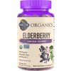 Garden of Life Mykind Elderberry, Real Fruit1