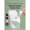 Isntree Mugwort Calming Powder Wash 1g (25ea) 2
