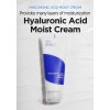 Isntree Hyaluronic Acid Moist Cream 100ml 2