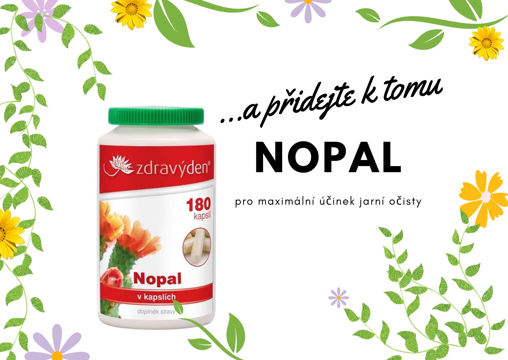 nopal
