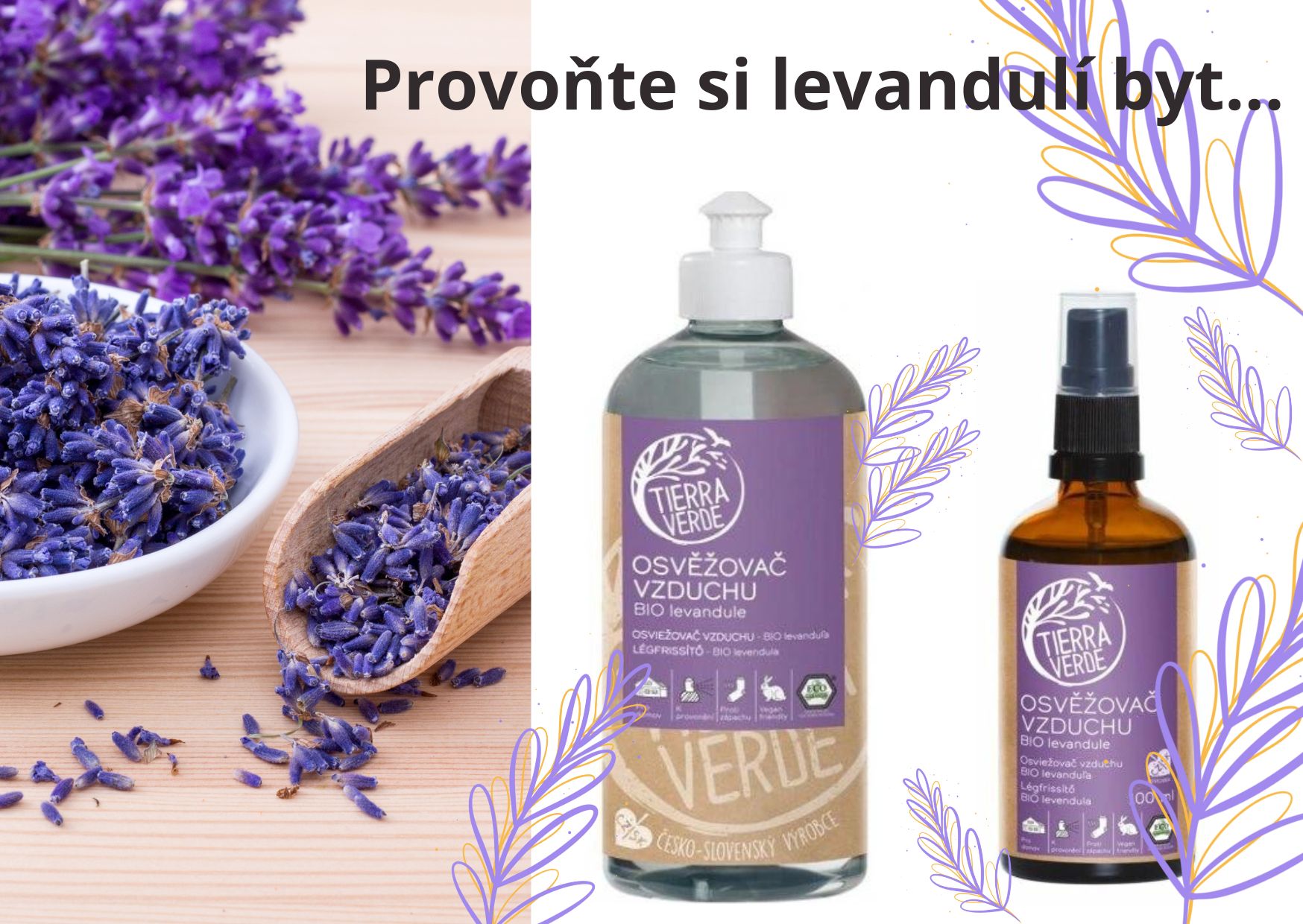 levandule 1
