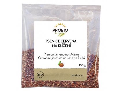 probio kliceni cervena psenice