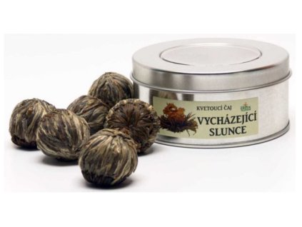 Gresik kvetouci caje Vychazejici slunce 7ks plech