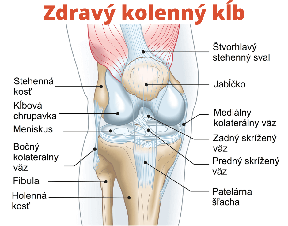 bolest_kolena