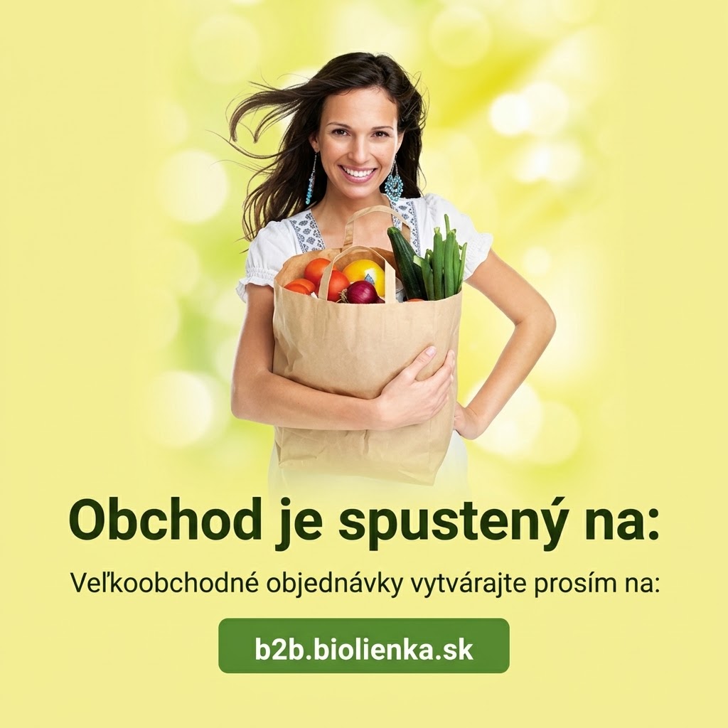 b2bmobil