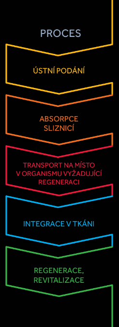 prirodní peptidy, biopulse pro sport, peptid, organické přírodní peptidy, proces