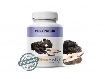 polyporus vitalni mycomedica biolifeplus