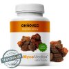 Ohňovec MycoMedica BioLifePlus