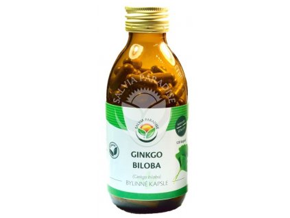 ginkgo biloba 120 kapsul