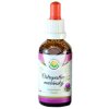 ostropestrec mariansky tinktura 50ml