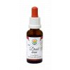 Draci krev 25 ml new custom