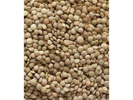 Website TellerLinsen CloseUp 1