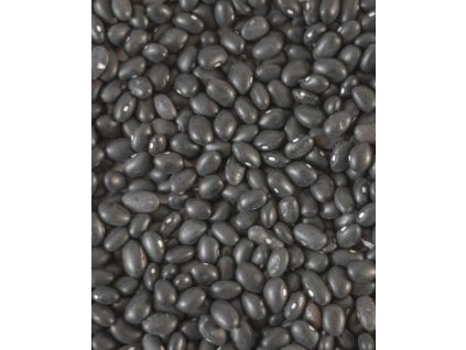 Cierna fazula beluga