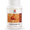 dxn reishi gano gl 30 ganocelium