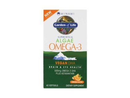 Omega 3 vegan dha 500x600