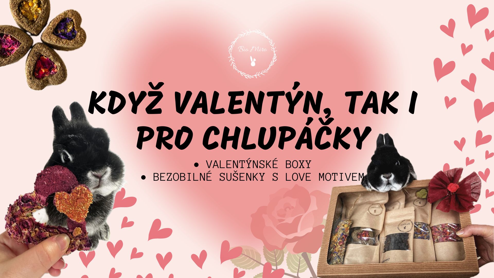 Když Valentýn, tak i pro chlupáčky!