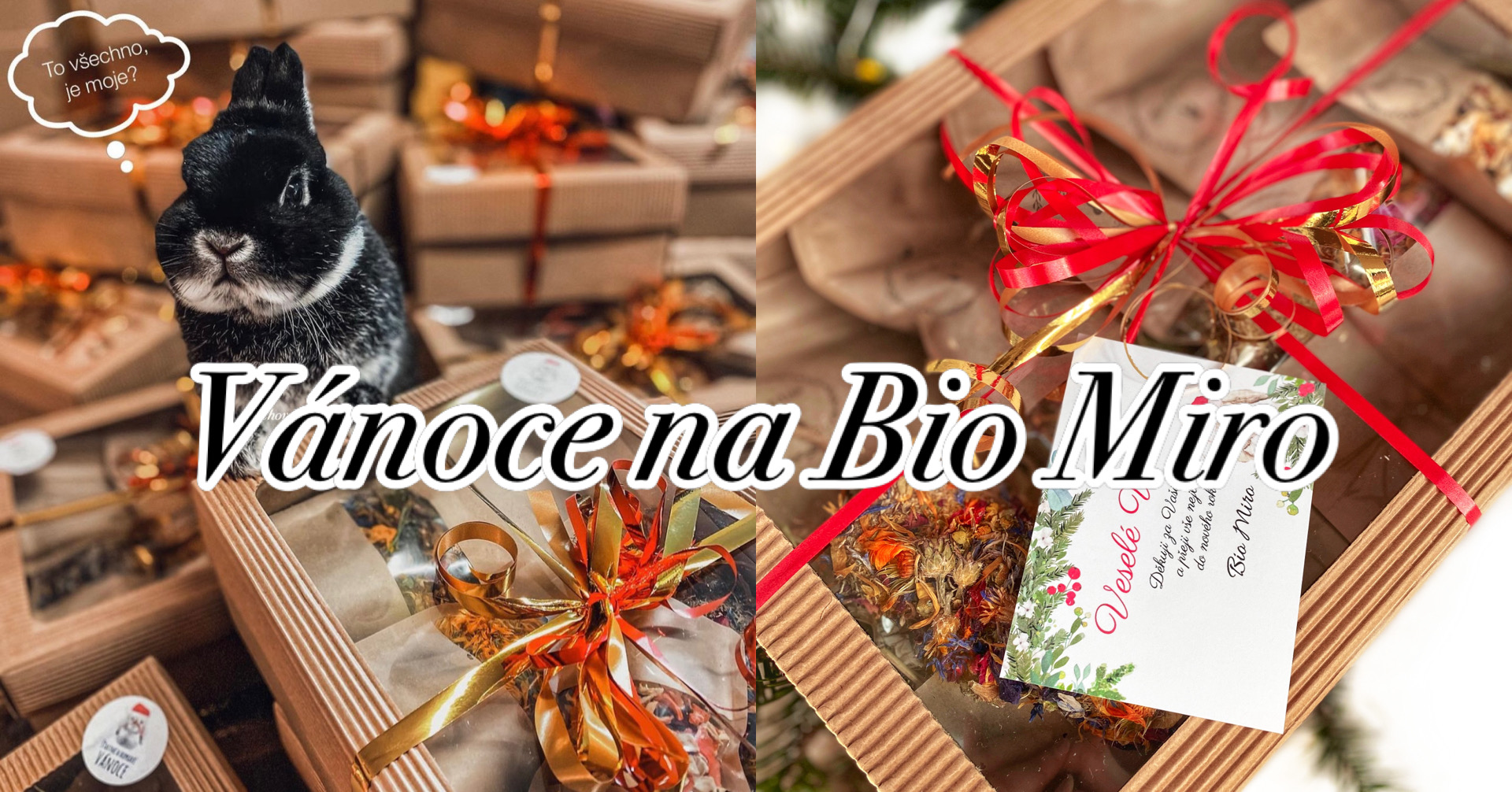 Vánoce na Bio Miro