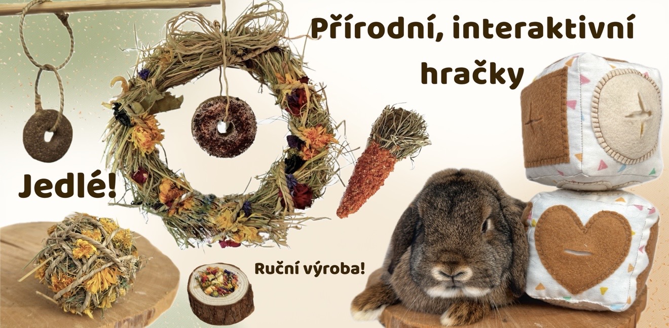 Přírodní hračky pro králíčky a morčátka