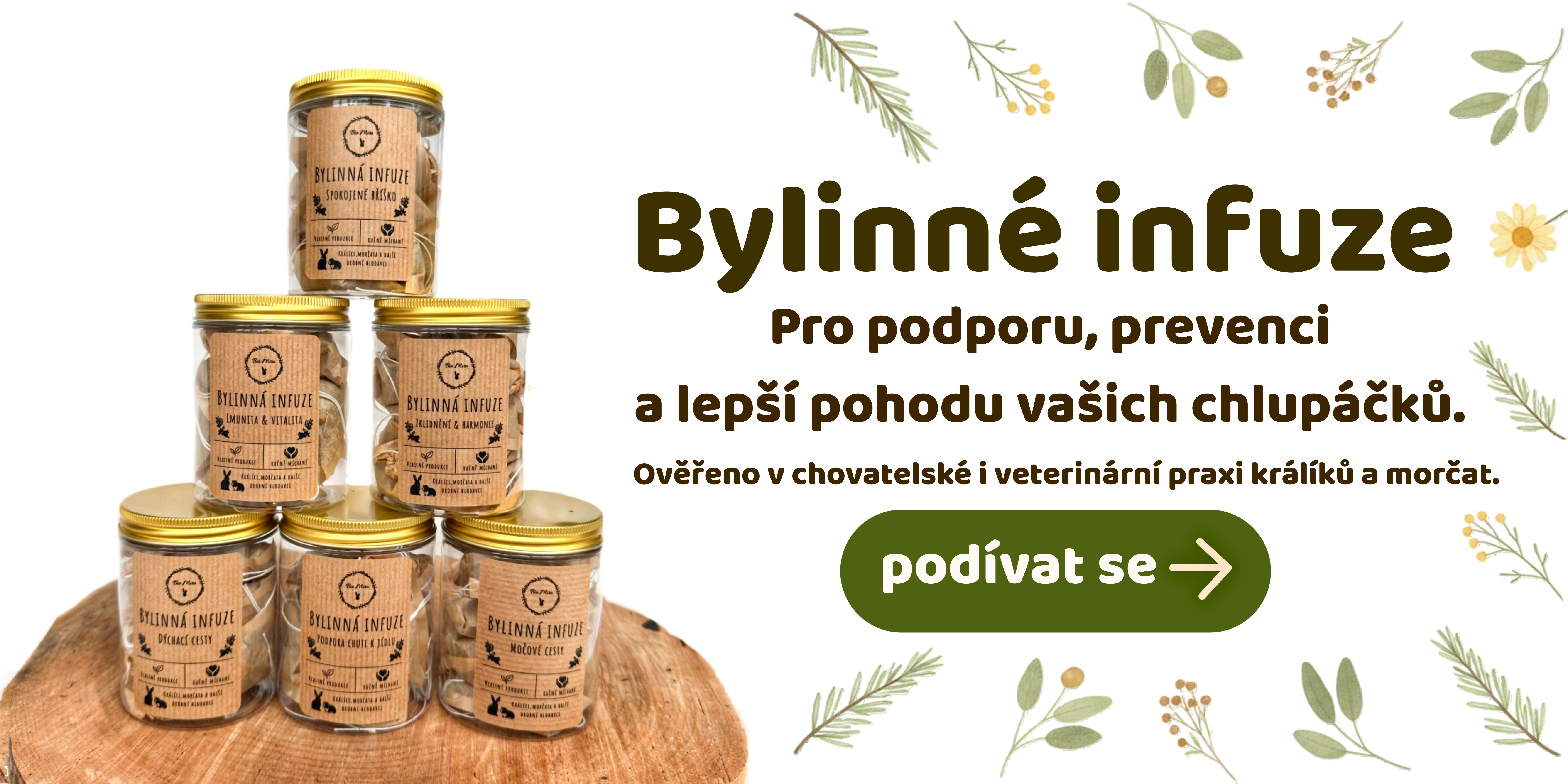 Bylinné infuze
