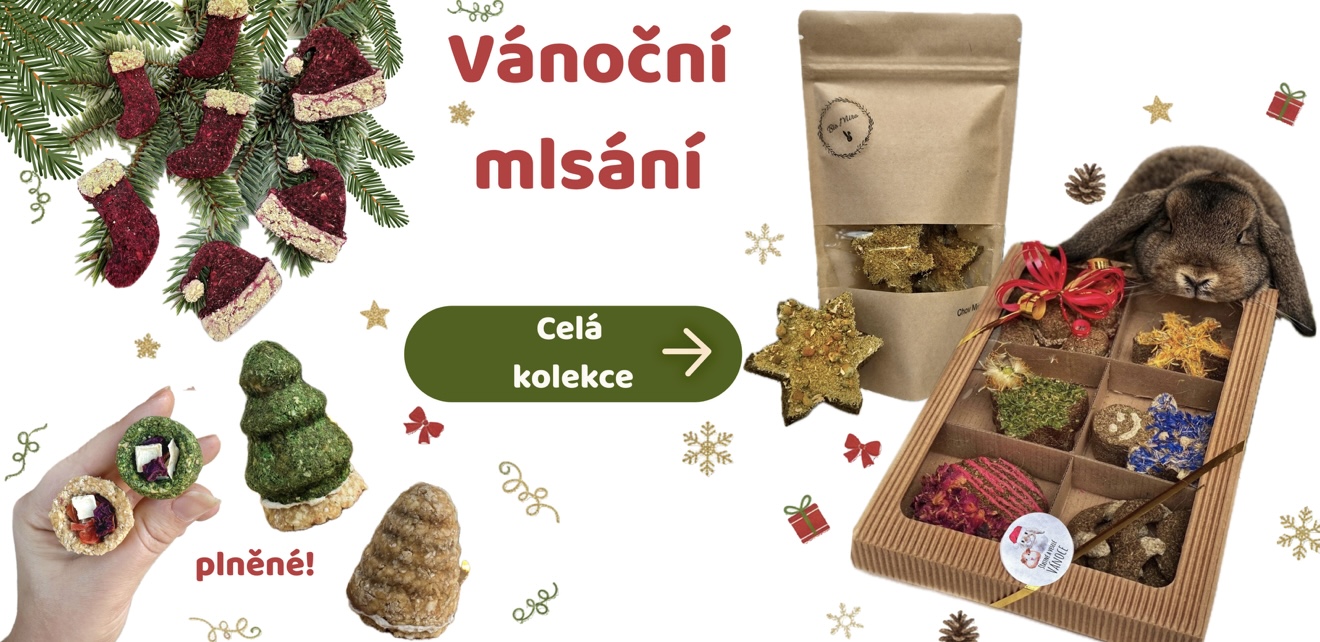 Vánoční mlsání