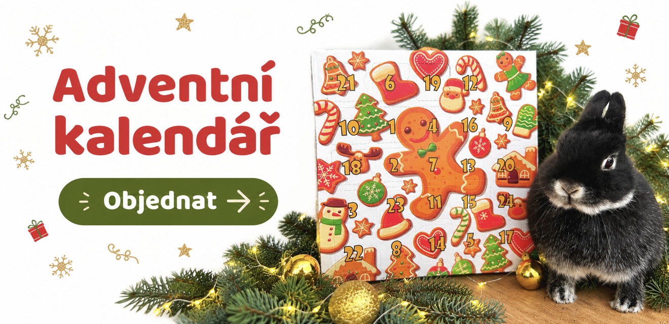 Adventní kalendář