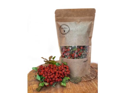 BA92081D F869 466E ABC2 36010383B2AB