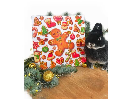 Adventní kalendář