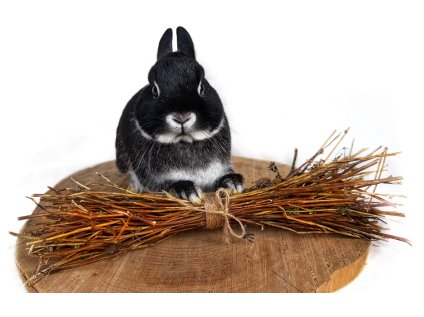 Svazek oregánových (dobromyslových) stonků