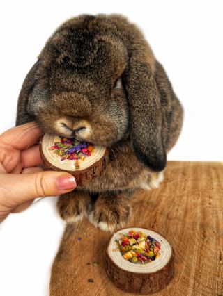 ROZKVETLÉ PAŘÍZKY 🌸🪵 novinka, kterou najdete u nás na www.biomiro.store 🌿