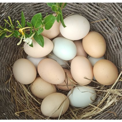 Slepičí BIO vejce  10 kusů