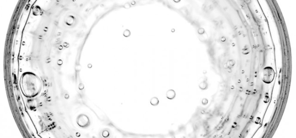 ENDOKRINNÍ DISRUPTORY: PRŮVODCE