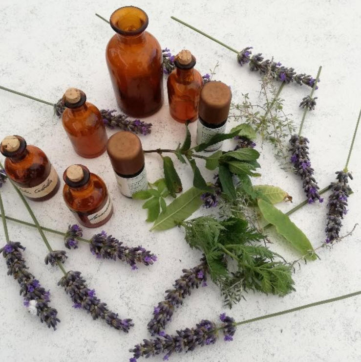 PRAKTICKÁ AROMATERAPIE - ZÁKLADNÍ INFORMACE - 1.díl