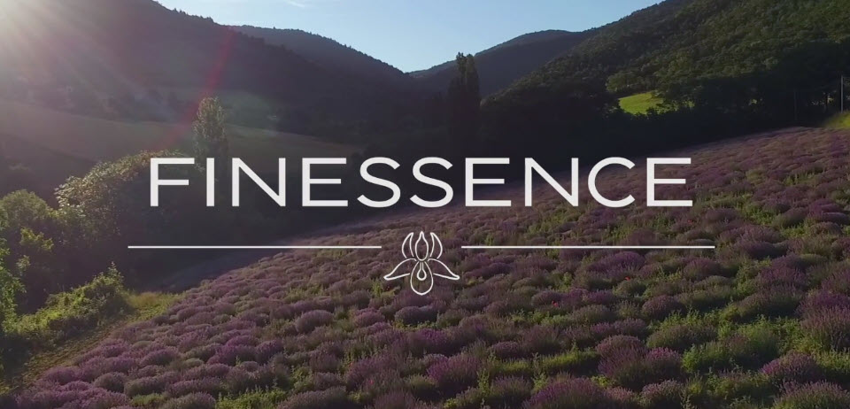 Finessence_logo_amb