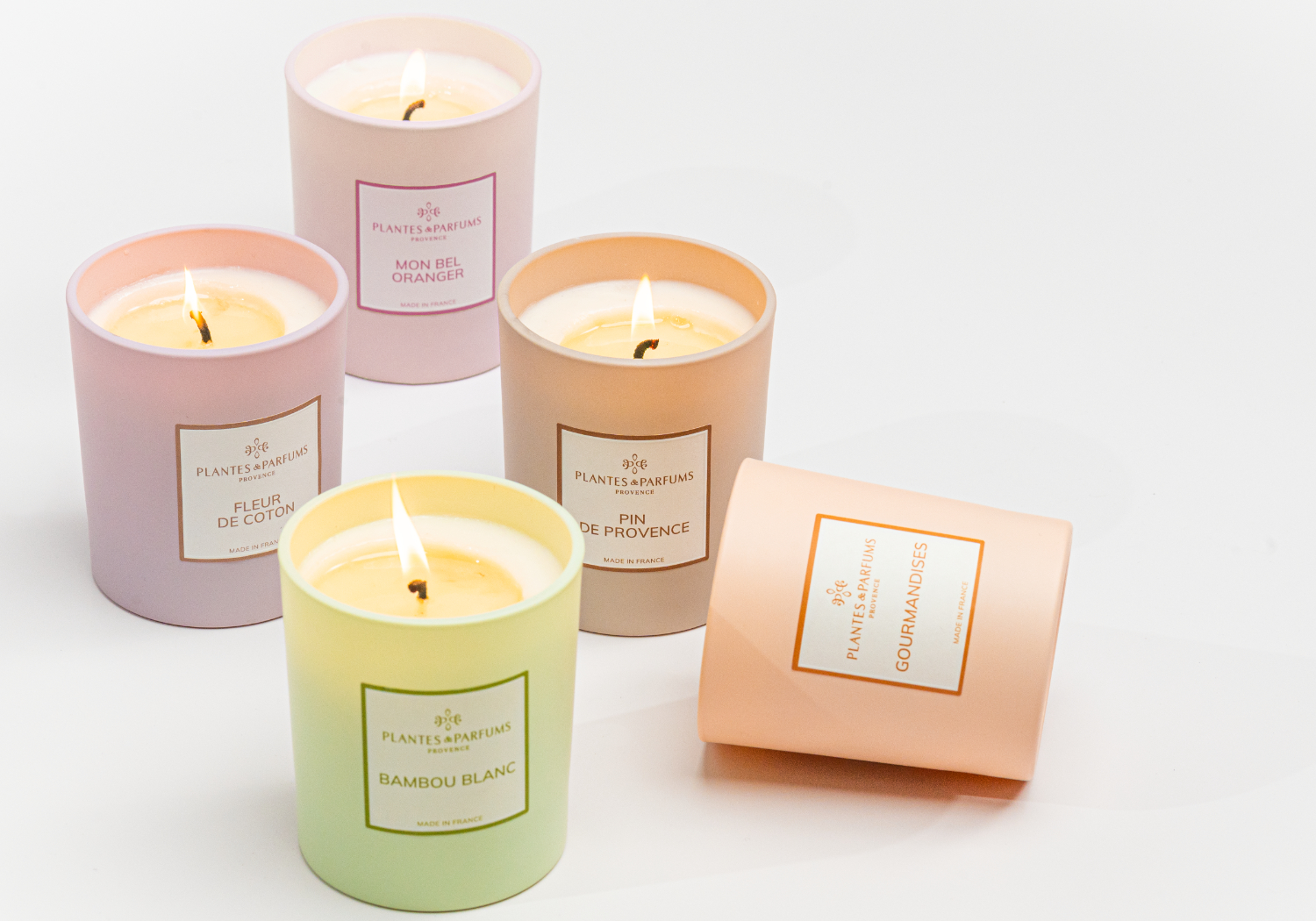 Plantes_et_Parfums_svicky_2024_amb