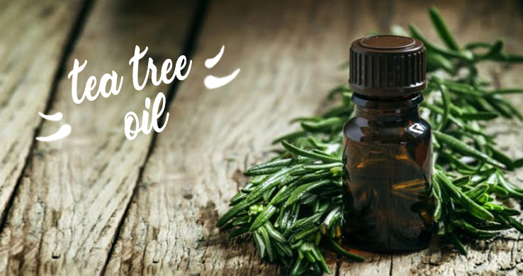 AUSTRALSKÝ ZÁZRAK JMÉNEM TEA TREE OIL
