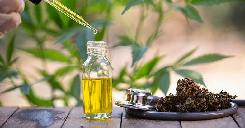 6 DŮVODŮ PROČ POUŽÍVAT KONOPNÝ OLEJ