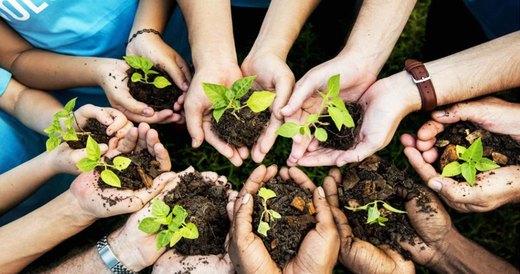 SÁZEJ STROMY S HOME FOR TREES