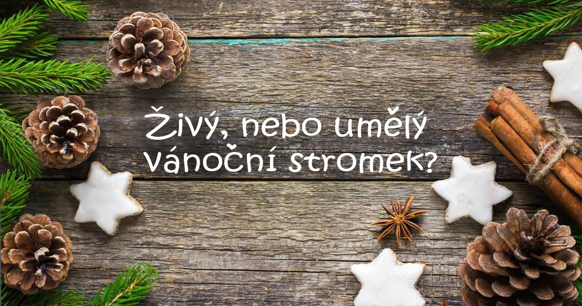 ŽIVÝ, NEBO UMĚLÝ VÁNOČNÍ STROMEK?
