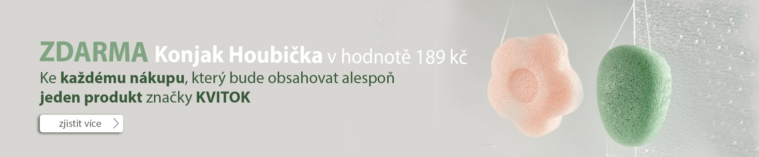PC Pruh Konjak houba