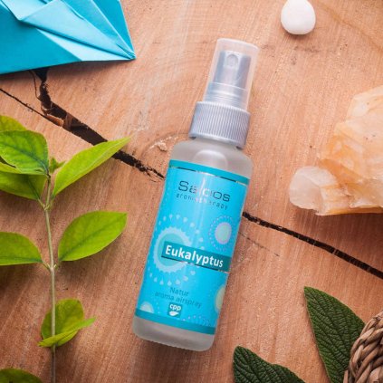 saloos natur aroma airspray eukalyptus