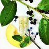 biorythme balzam na rty s chia olejem meloun 4 8 ml